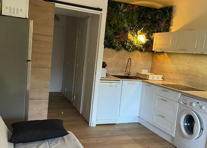 Studio 4 Personnes, Coin Cabine, Climatisation, Terrasse, Parking, Mer 公寓