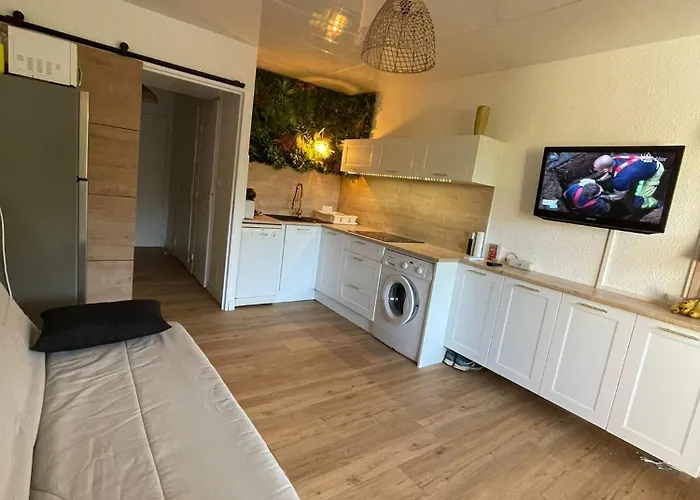 公寓 Studio 4 Personnes, Coin Cabine, Climatisation, Terrasse, Parking, Mer