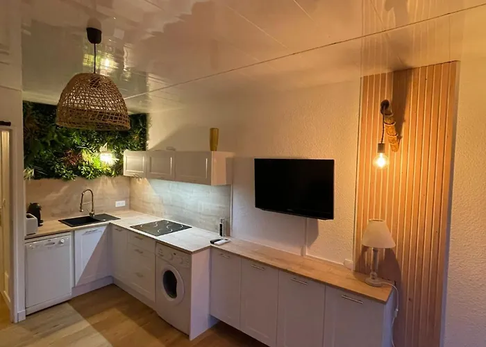 Lägenhet Studio 4 Personnes, Coin Cabine, Climatisation, Terrasse, Parking, Mer Le Lavandou